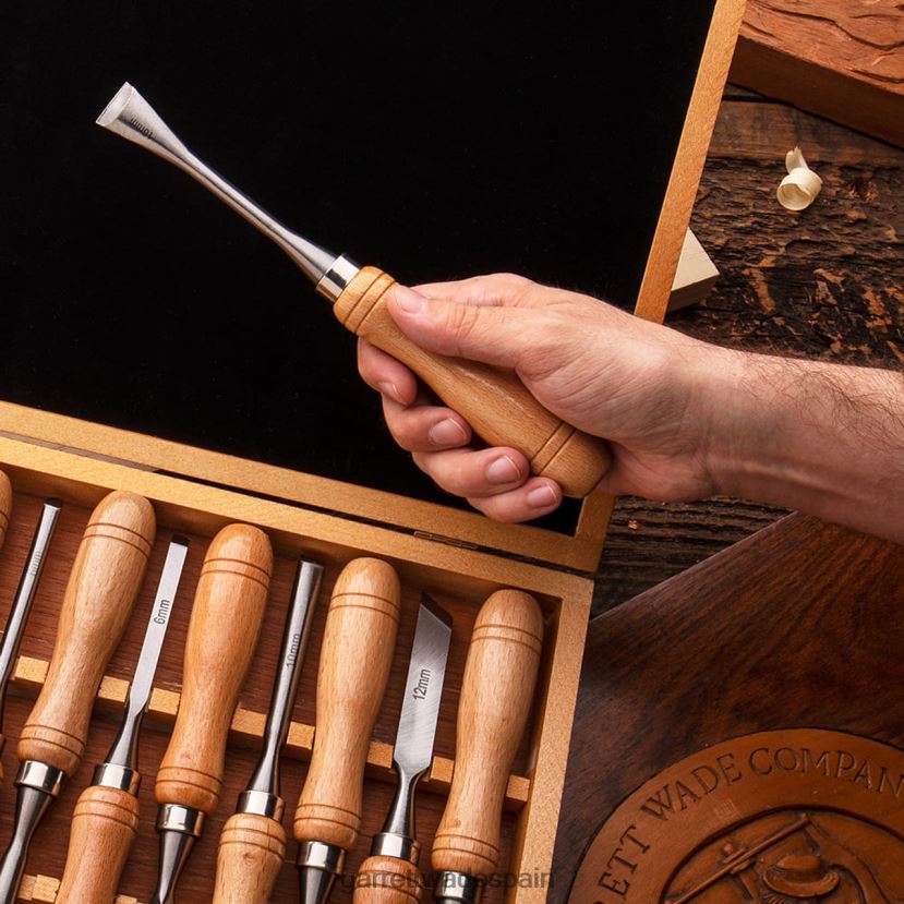Garrett Wade juego de 12 cinceles para tallar madera carpintería HD0288677