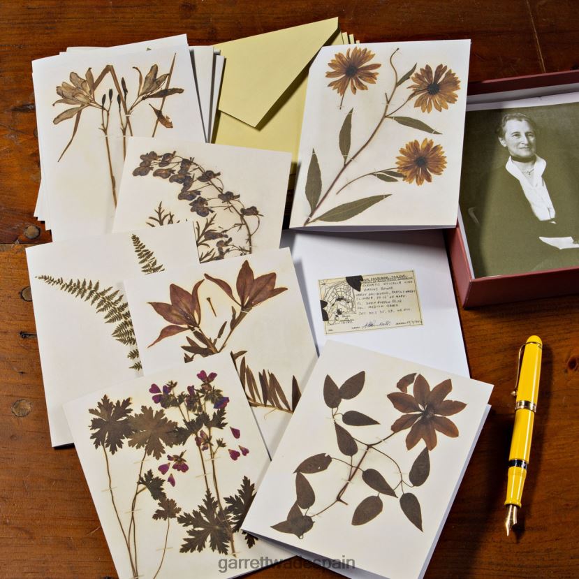 Garrett Wade conjunto de tarjetas de notas de inspiración botánica hogar y cocina HD02881019