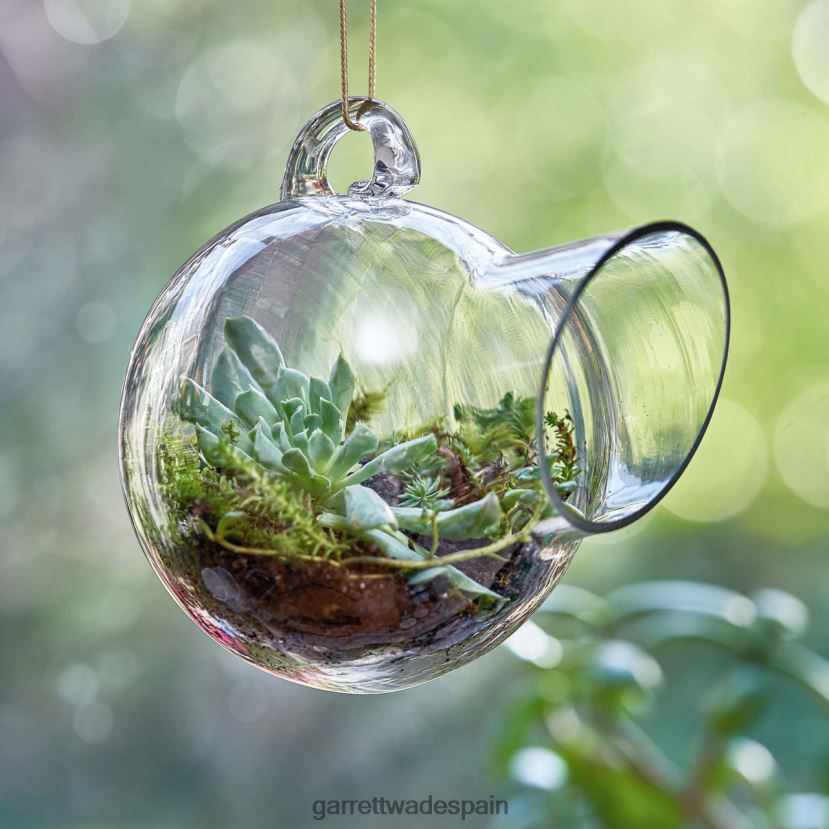 Garrett Wade pequeño terrario de cristal colgante jardín HD0288172