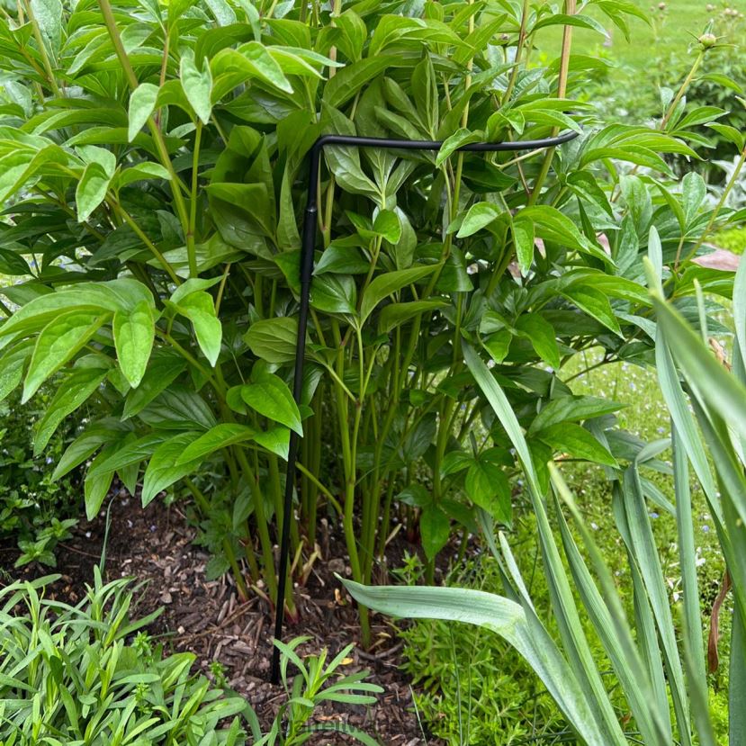 Garrett Wade soporte de jardín de acero semicircular jardín HD0288157