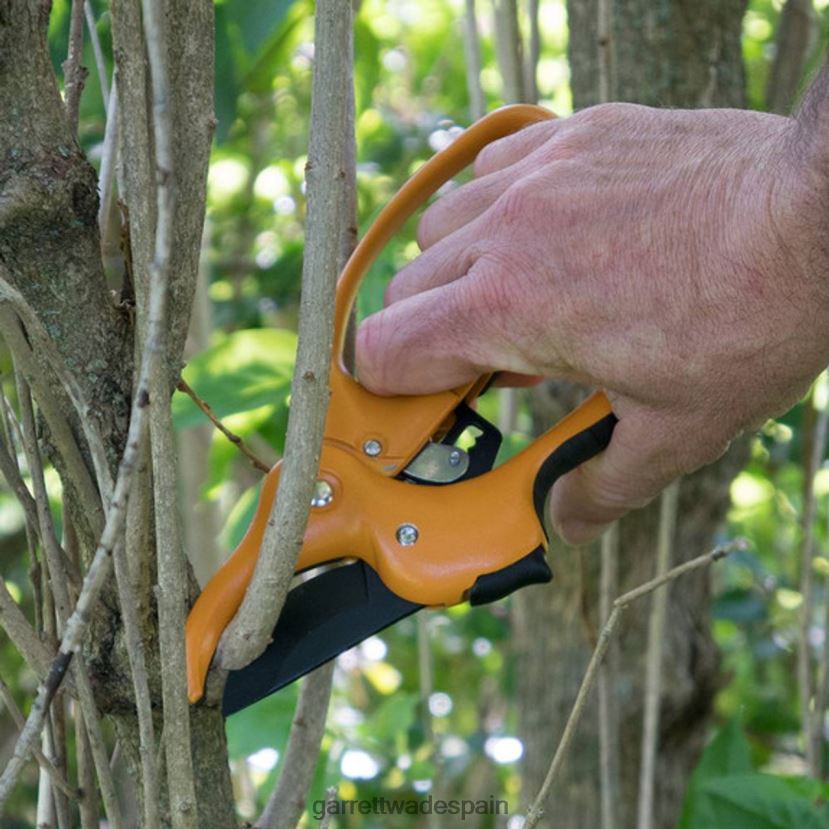 Garrett Wade podadora de mano con trinquete y funda jardín HD028821