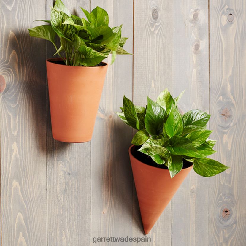 Garrett Wade maceta de pared de terracota de fondo plano jardín HD0288261