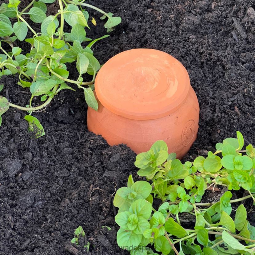 Garrett Wade Hidratante de plantas en contenedor de terracota mediano en forma de lágrima jardín HD0288233